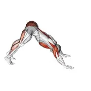 Ejercicio Pike a cobra flexión de brazos para trabajar glúteos